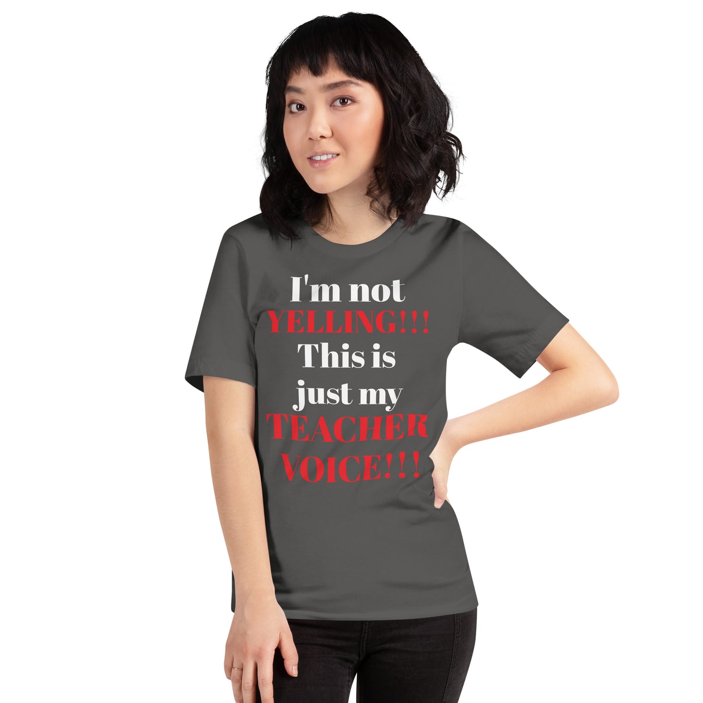 Teacher Voice T-Shirt SFW